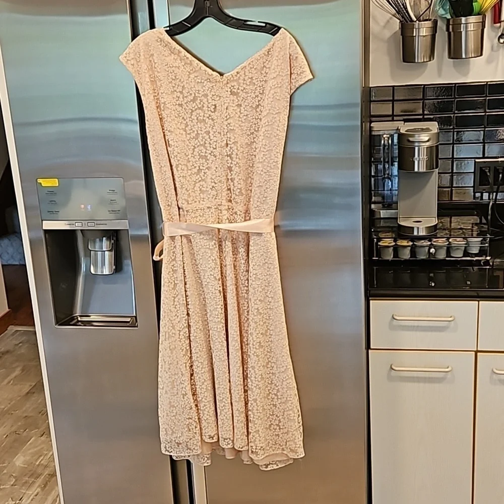 💕TAHARI by ASL💕 Glitter Lace Trim Metallic Ribbon Belted Dress Light Pink 18W - Picture 8 of 14